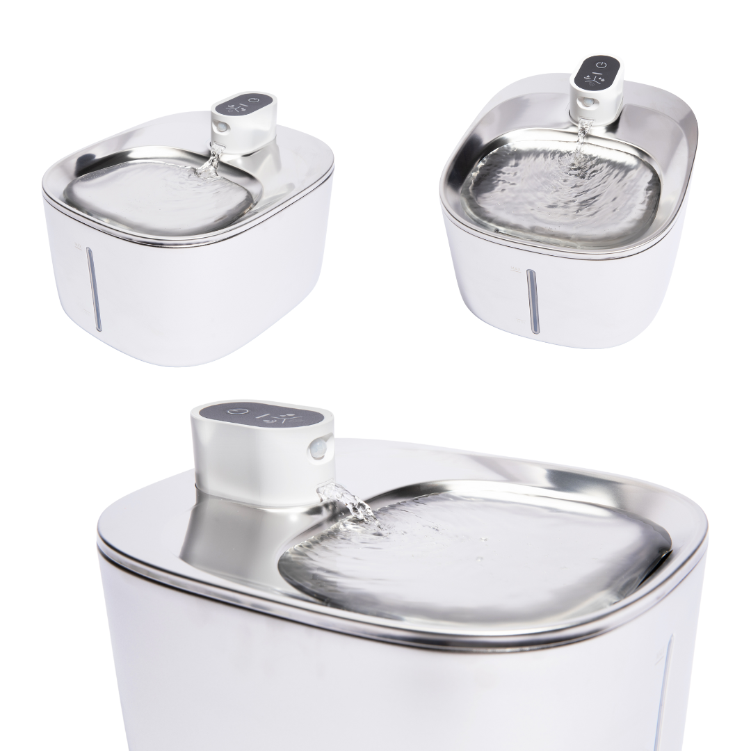 KattBrunn – Tyst och trådlös fontän för friskt vatten